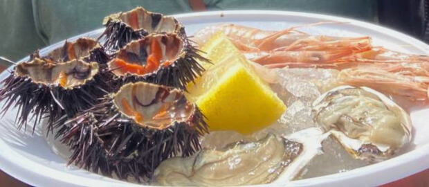 cosa mangiare a bari: crudo di mare