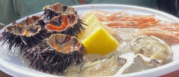 what to eat in bari: raw seafood